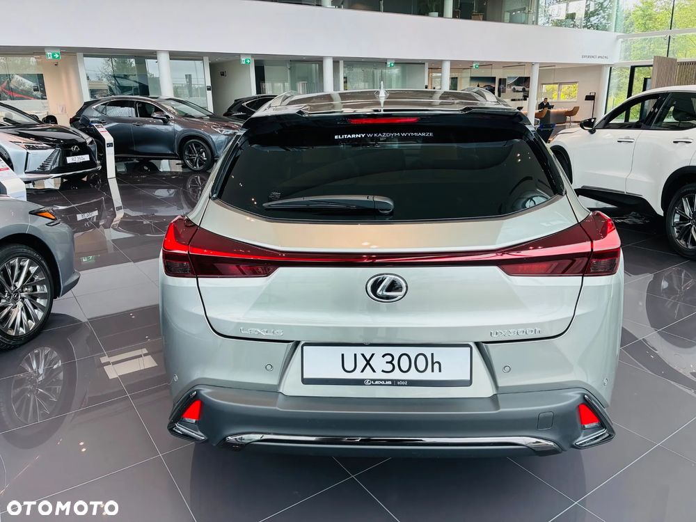 Lexus UX 300h F Sport Design - 6