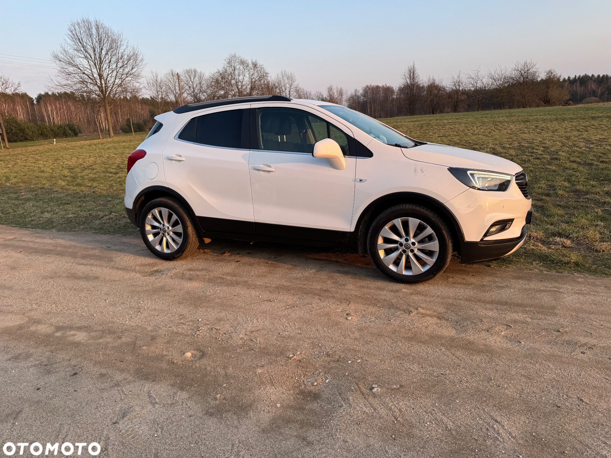 Opel Mokka 1.6 CDTI Cosmo S&S - 21