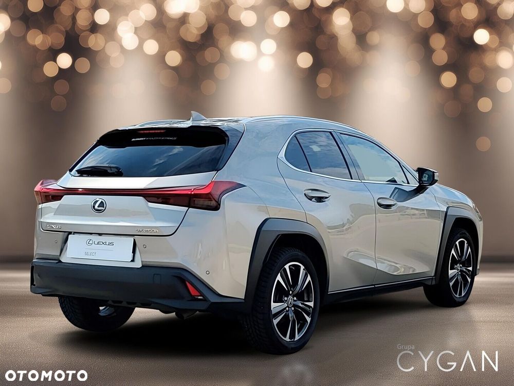 Lexus UX 250h GPF Business 2WD - 7