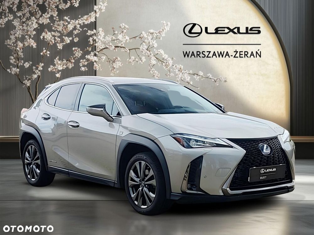 Lexus UX 250h GPF F Sport Edition 2WD - 9