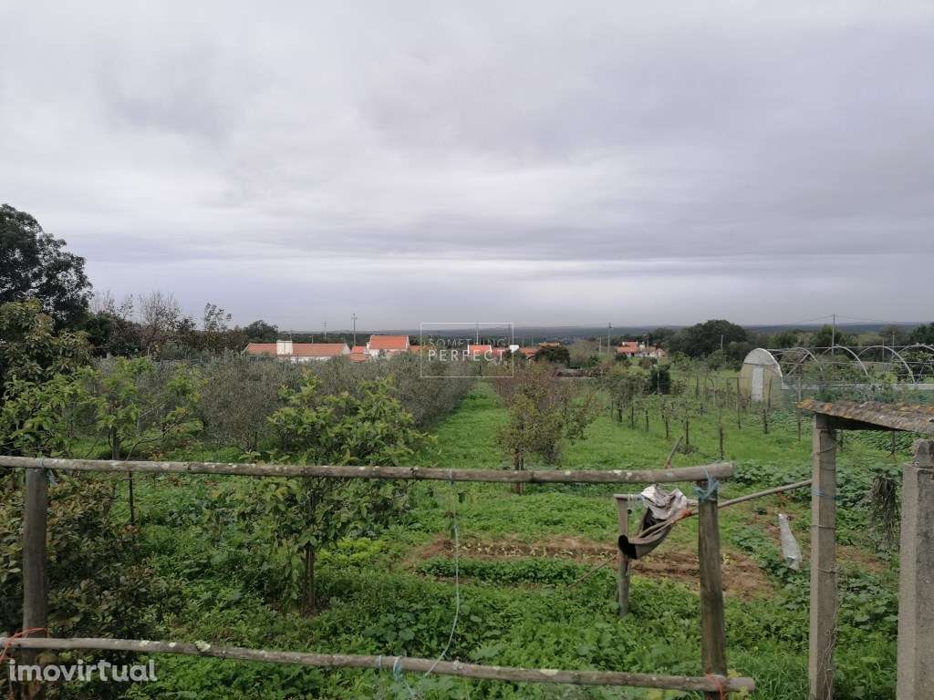Terreno Misto com Vista Oceano - Grande imagem: 4/11