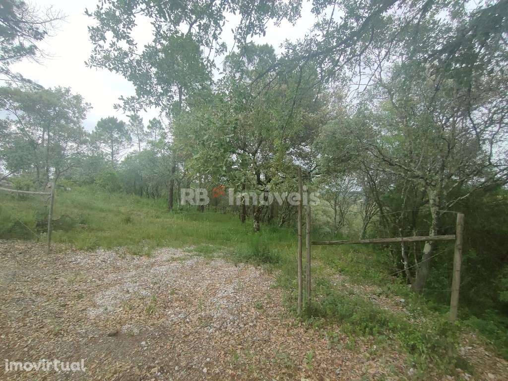 Terreno Rústico c/ 12400m2 - Pedreira, Tomar - Grande imagem: 2/14