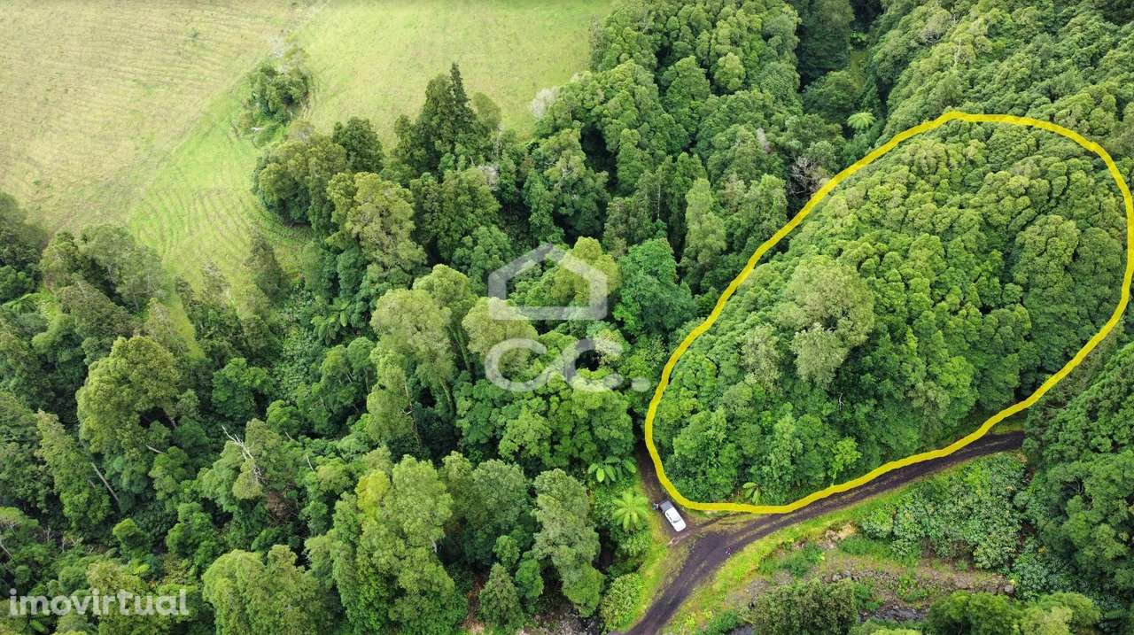 Terreno com 2.089,00 m2 - Santo António Nordestinho - Nordeste - Grande imagem: 3/8