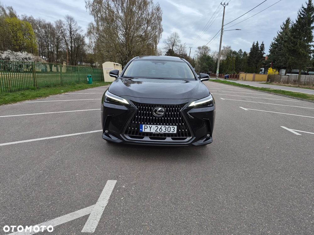 Lexus NX 350h Omotenashi AWD - 2