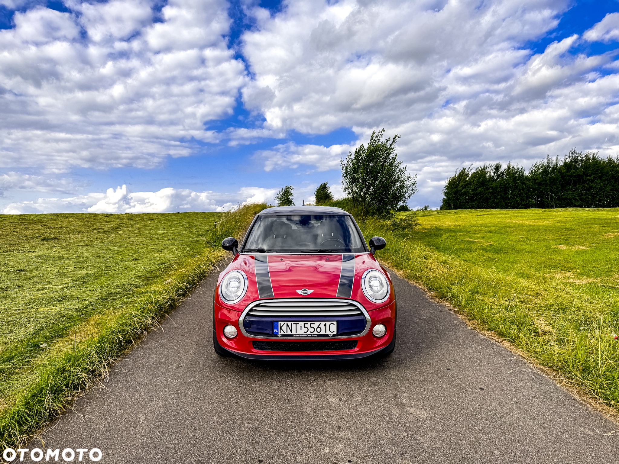 MINI Cooper - 11