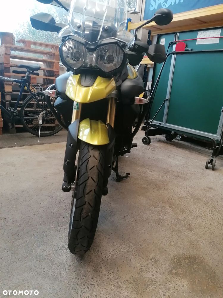 Triumph Tiger - 3