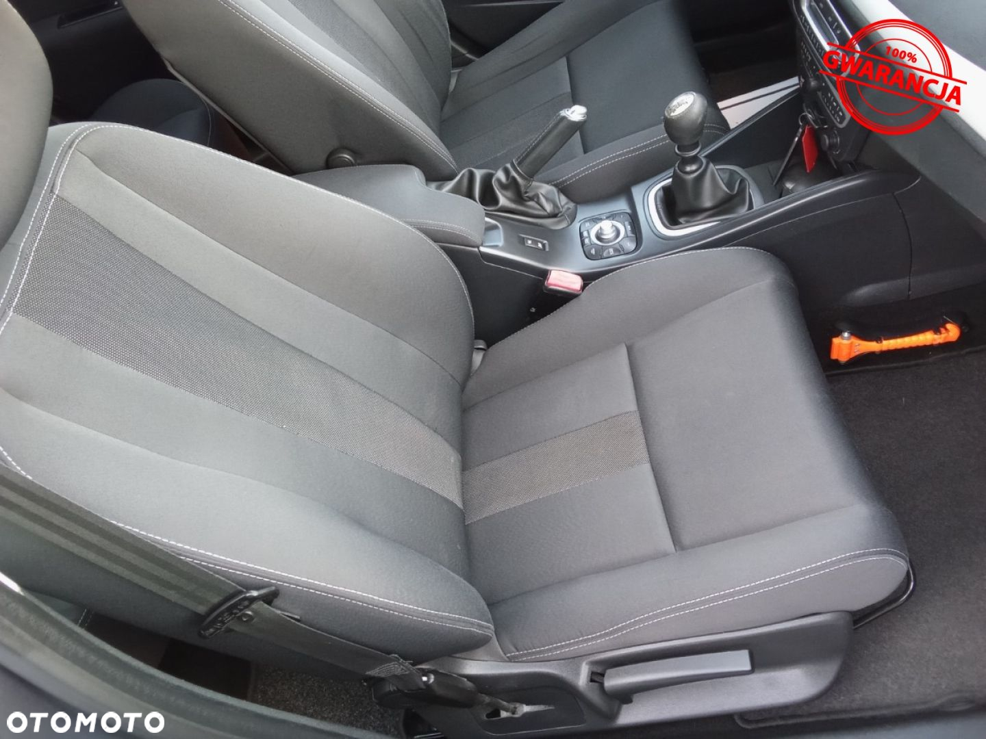 Renault Megane - 38