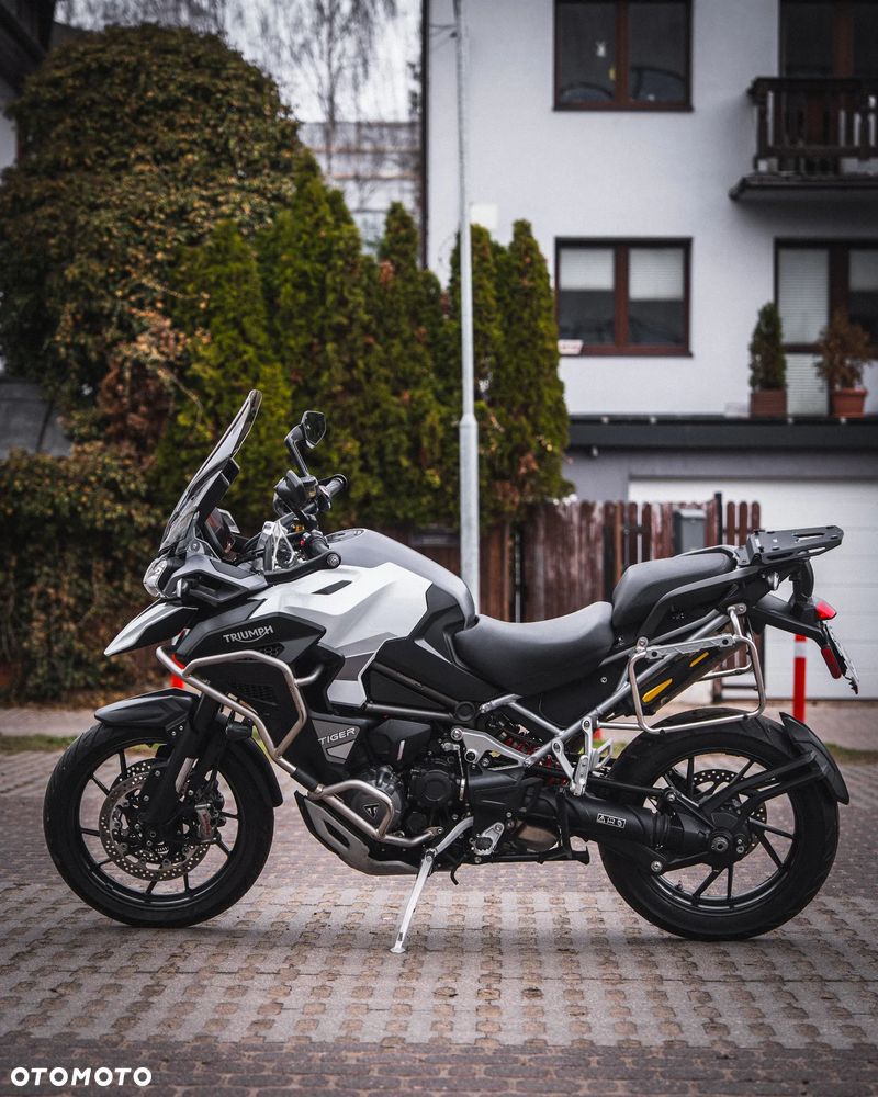 Triumph Tiger - 8