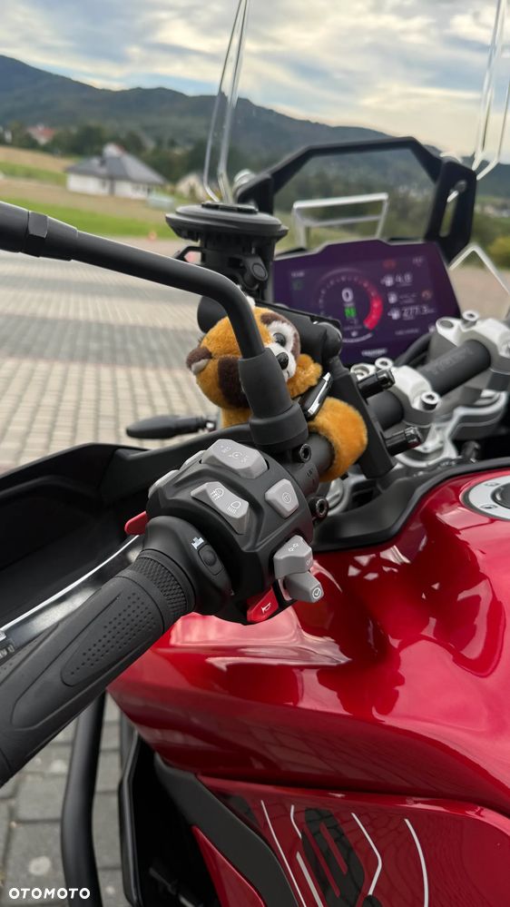 Triumph Tiger - 15