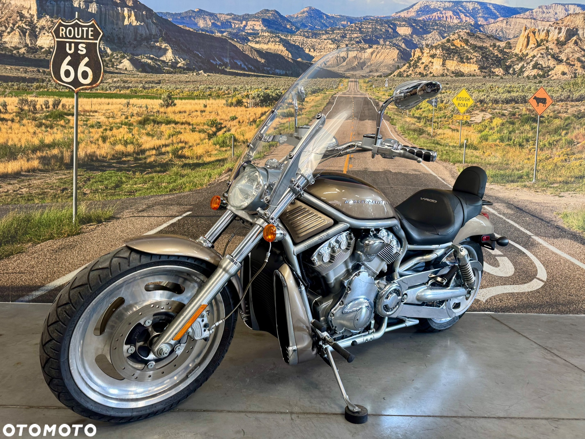 Harley-Davidson V-Rod Street Rod - 7