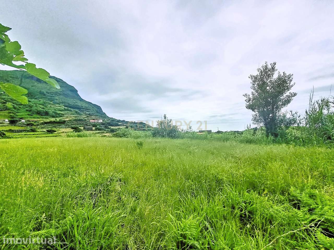Terreno na Fajãzinha, Ilha das Flores - Grande imagem: 2/11