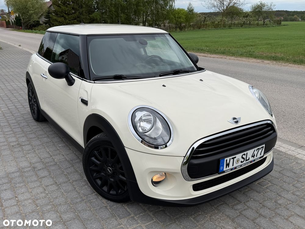 MINI ONE Blackyard - 2