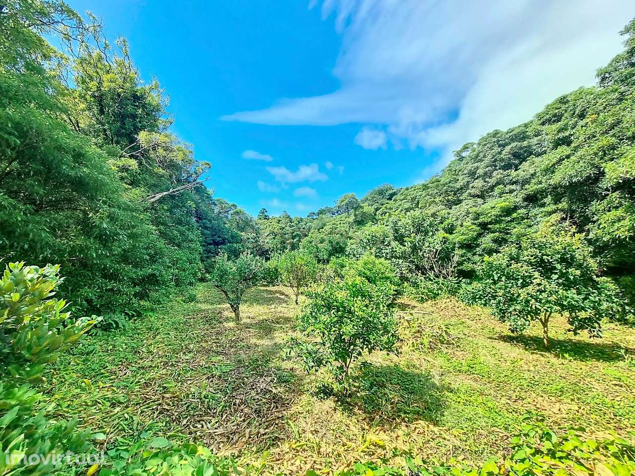 Quinta na Fajã Grande, Ilha das Flores. - Grande imagem: 3/10