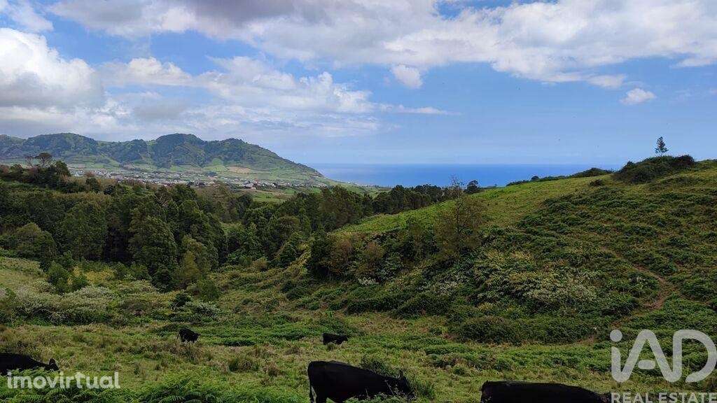 Terreno em Povoação de 142408,00 m2 - Grande imagem: 3/15