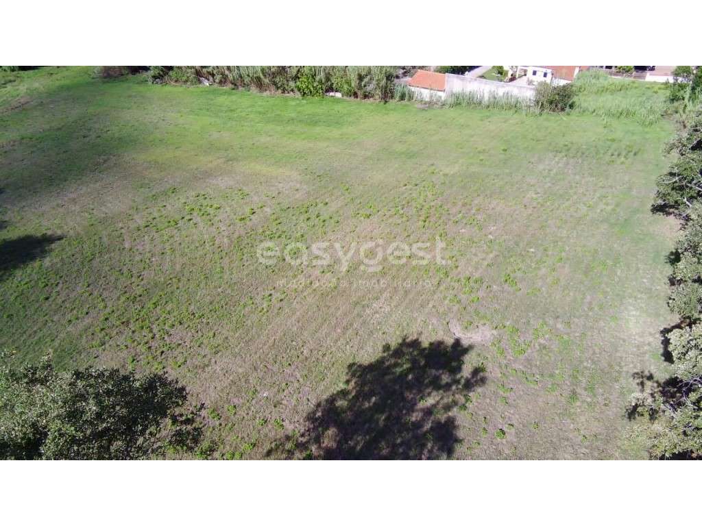 Terreno para construção perto do centro de Carvide- Monte Real - Grande imagem: 3/17