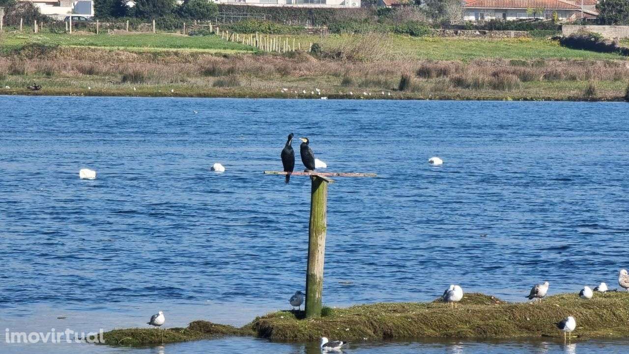 Moradia de Charme em Ofir - Grande imagem: 5/60