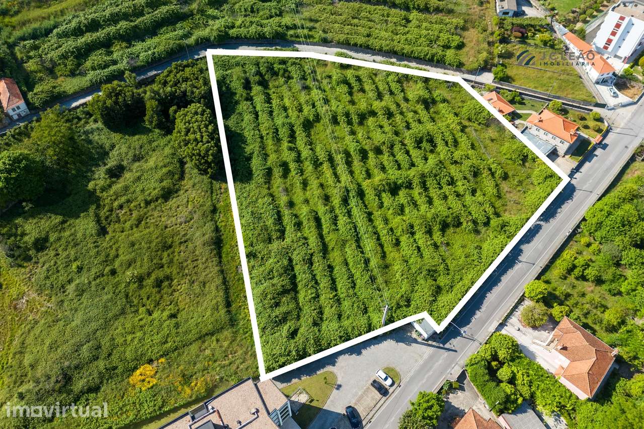 Terreno Rustico c/ 7969m2, para construção no Centro de Baltar - Grande imagem: 2/20