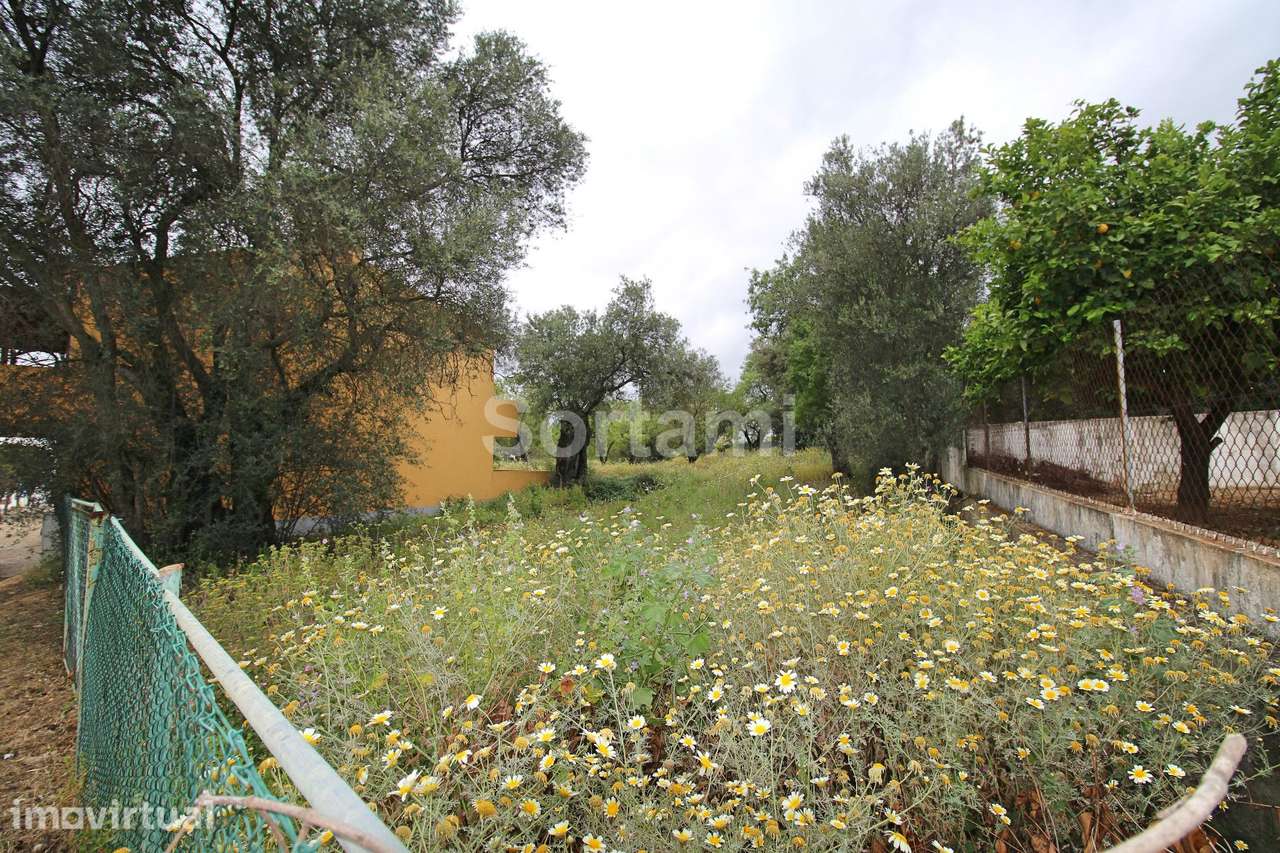 Terreno Para Construção  Venda em Conceição e Estoi,Faro - Grande imagem: 5/5