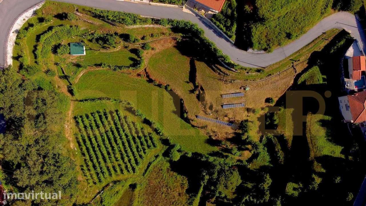 Conjunto de 2 Terrenos Agrícolas – 7.200 m² - Grande imagem: 2/6