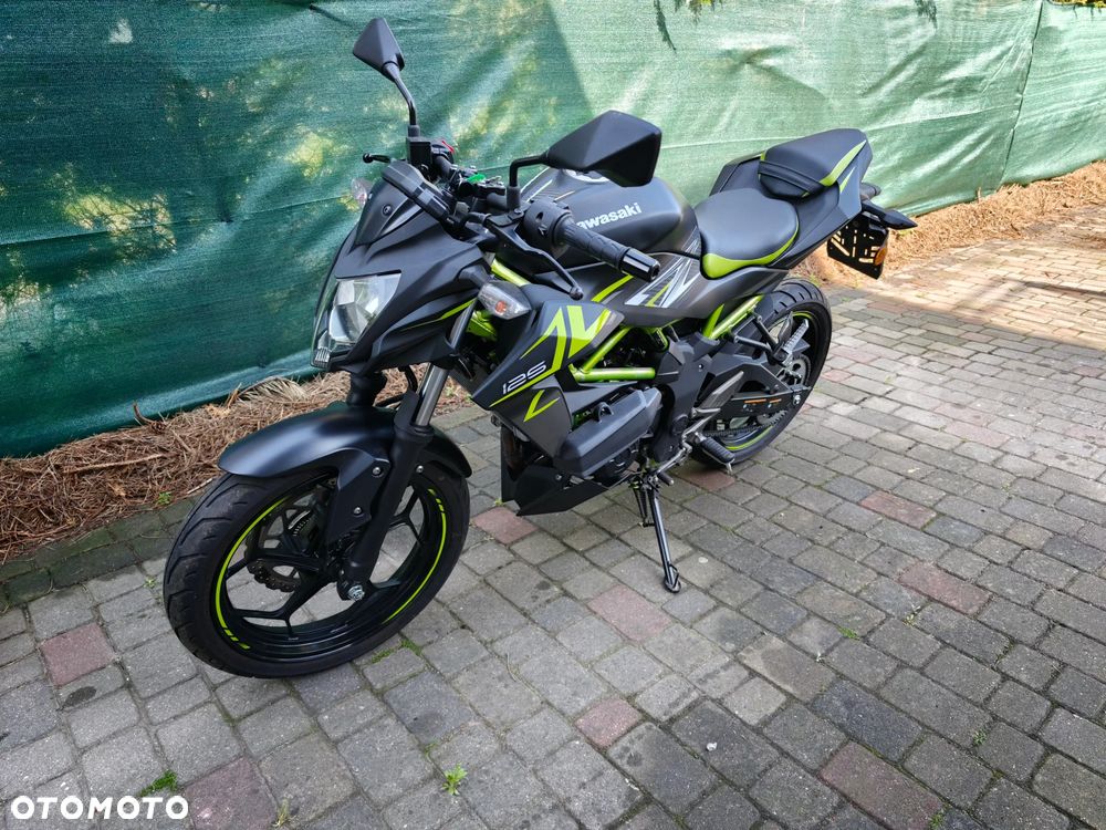 Kawasaki Z - 10