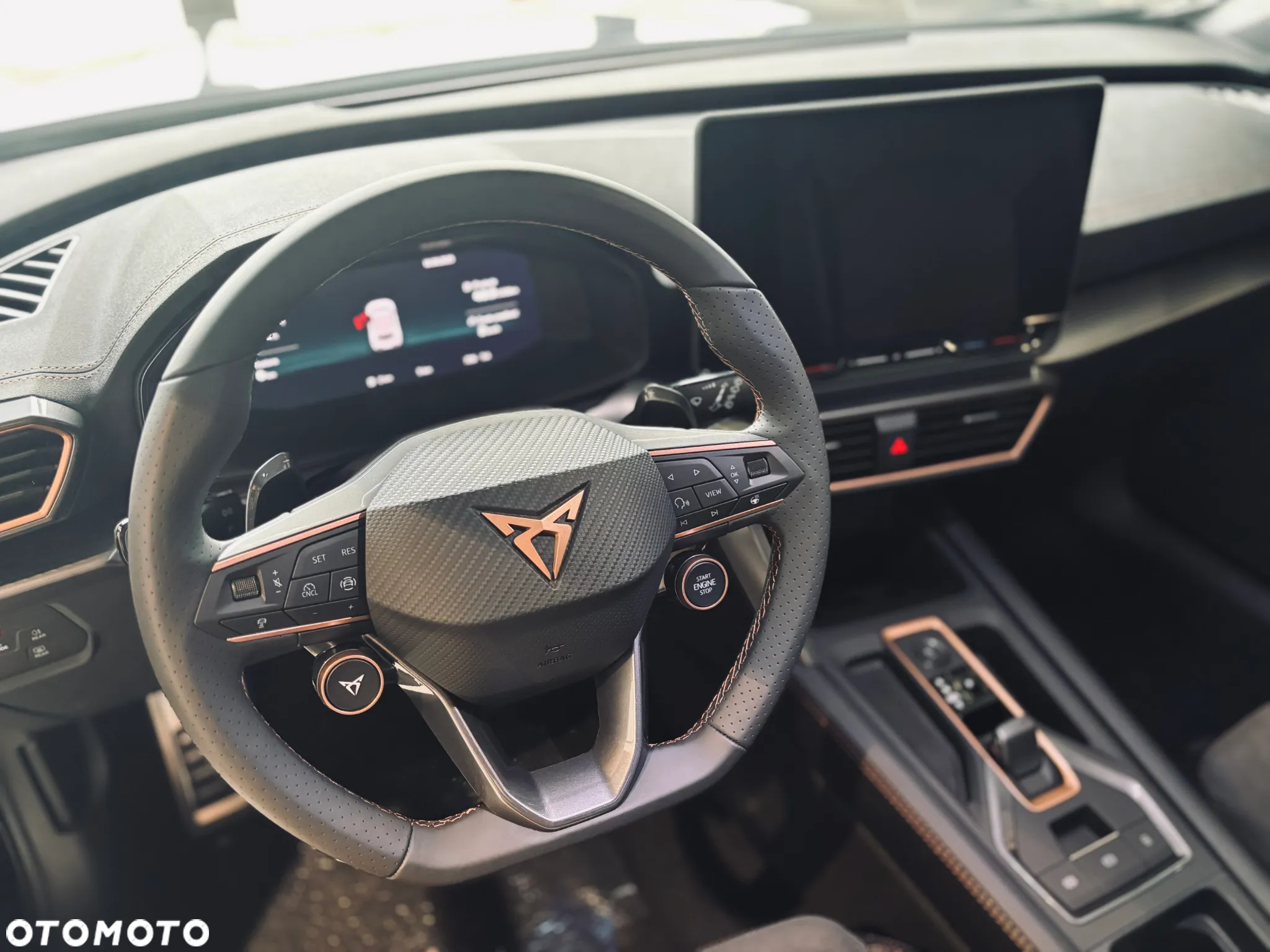 Cupra Formentor 2.0 TDI DSG - 17