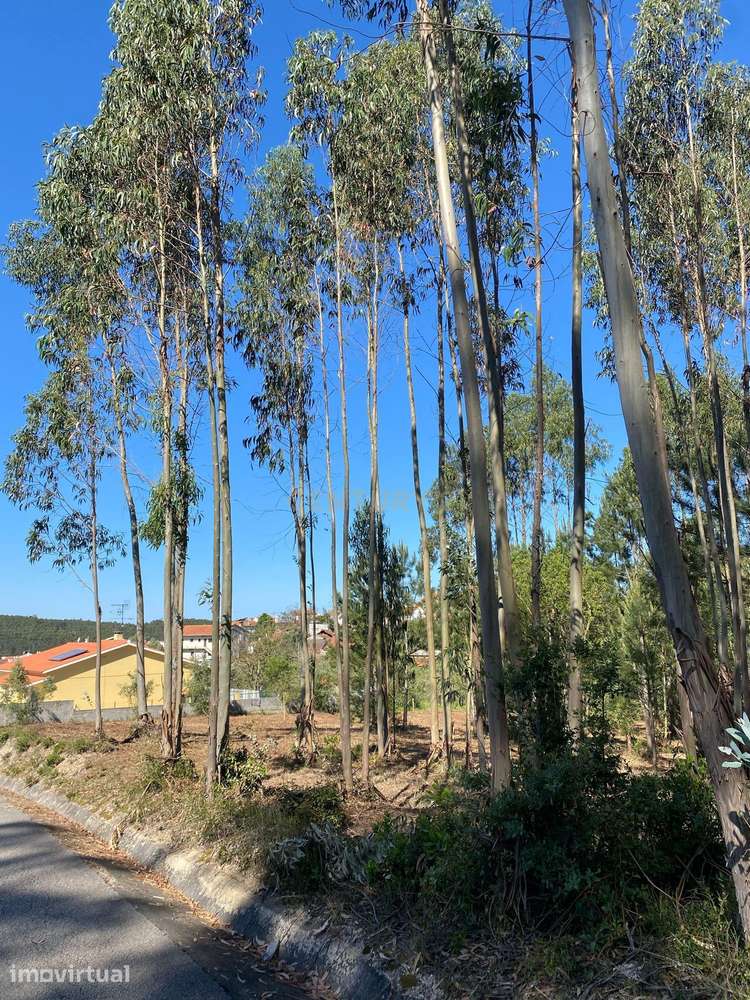 Terreno para construção em Castanheira de Alcobaça - Grande imagem: 3/5