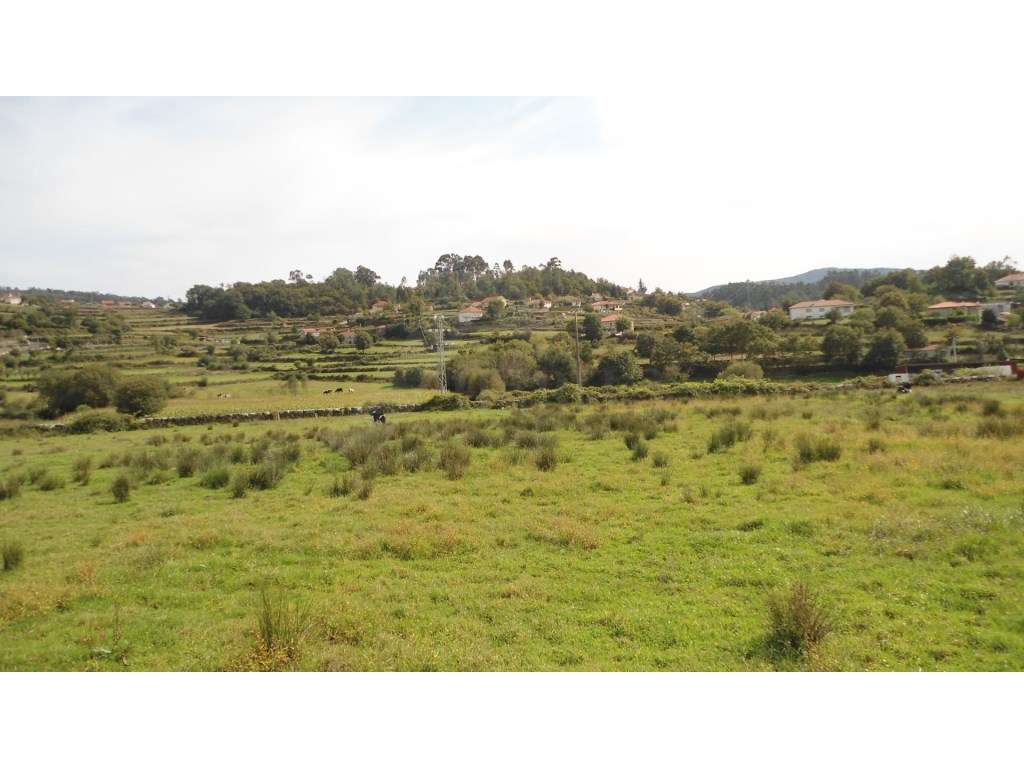 Terreno c/ 58.000m2 em Padornelo - Grande imagem: 5/8