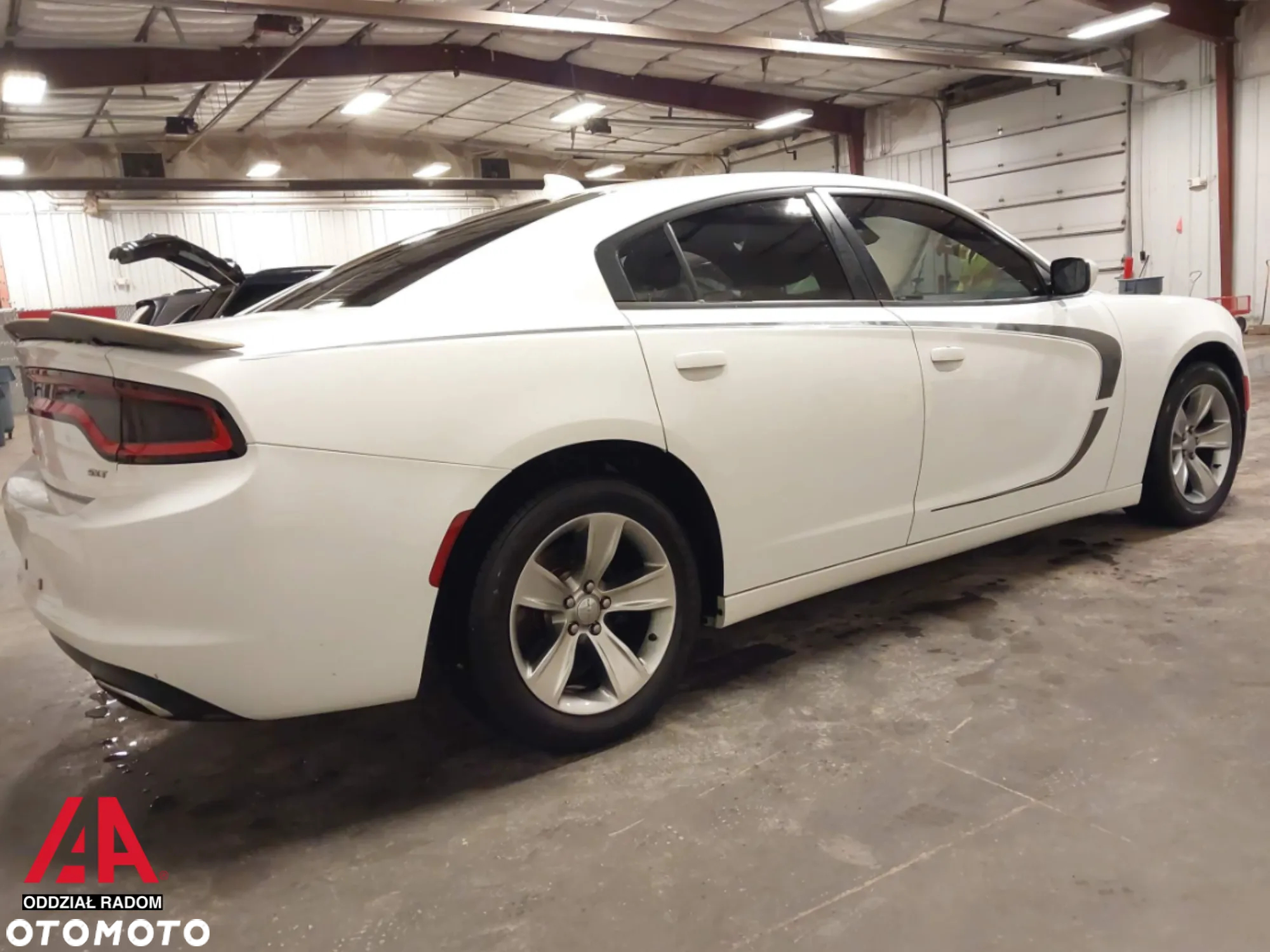 Dodge Charger - 6