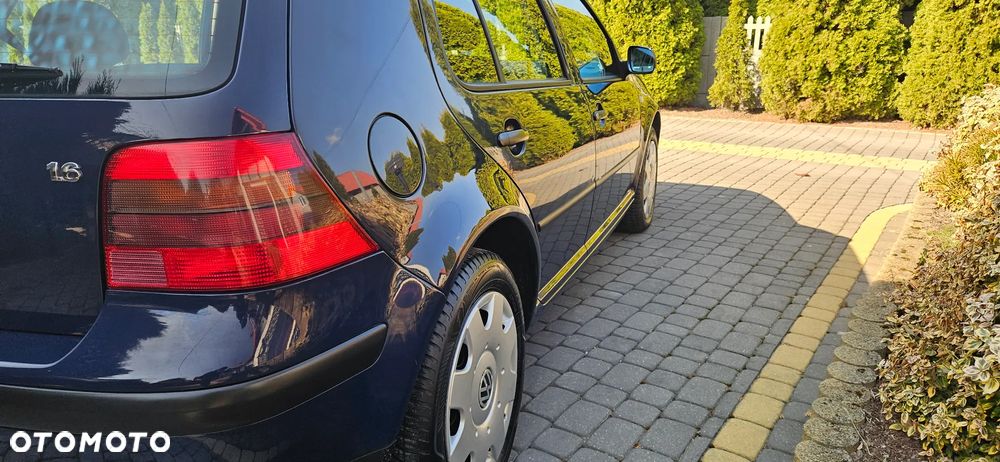Volkswagen Golf - 19