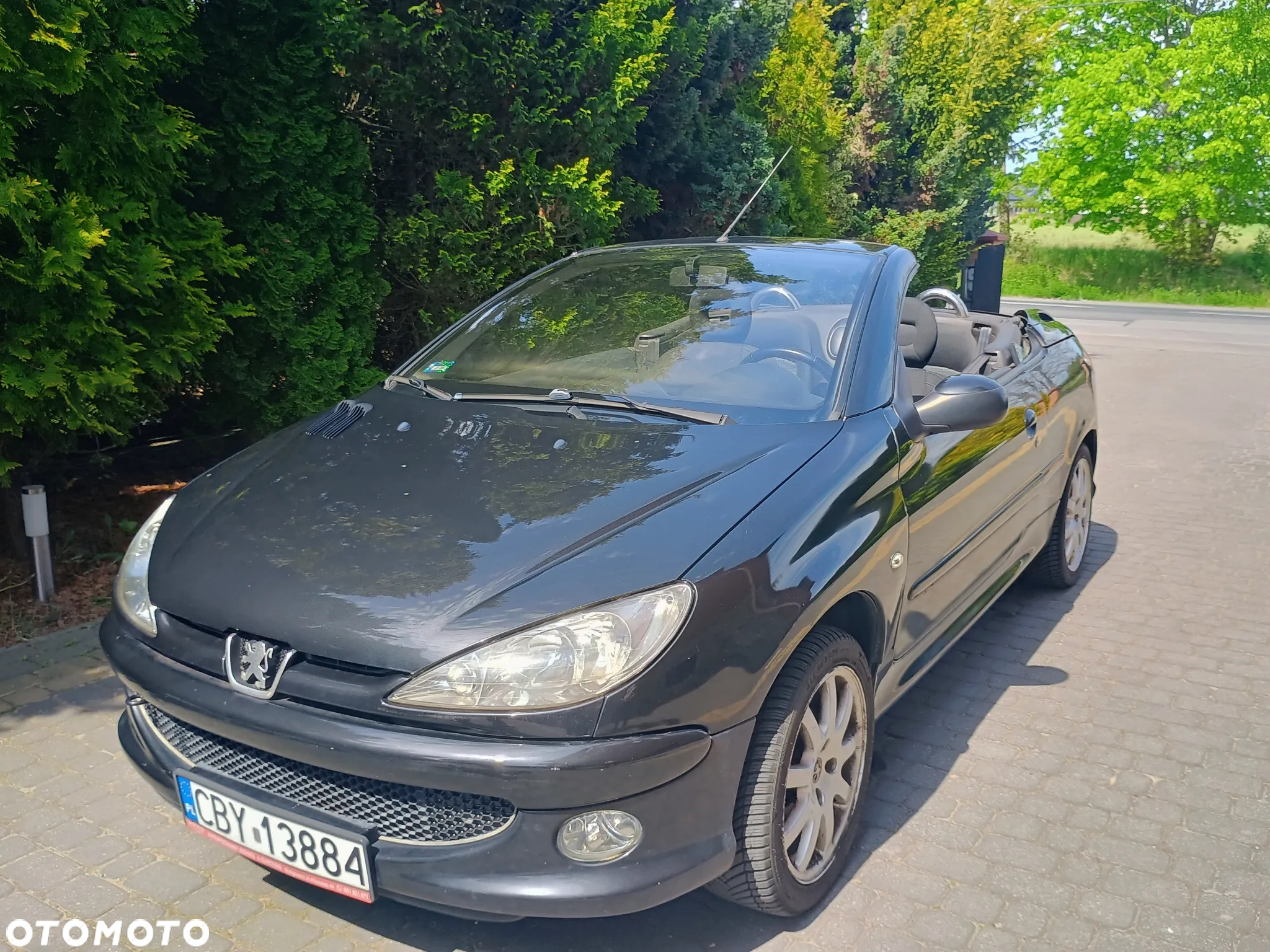 Peugeot 206 CC - 10