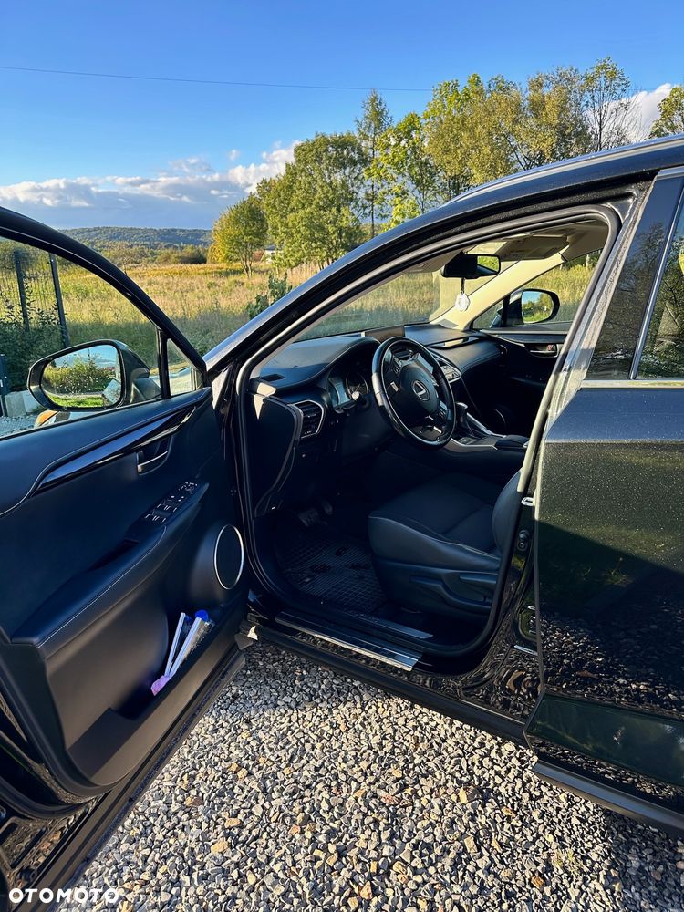 Lexus NX 300h Elegance Optimum AWD - 10