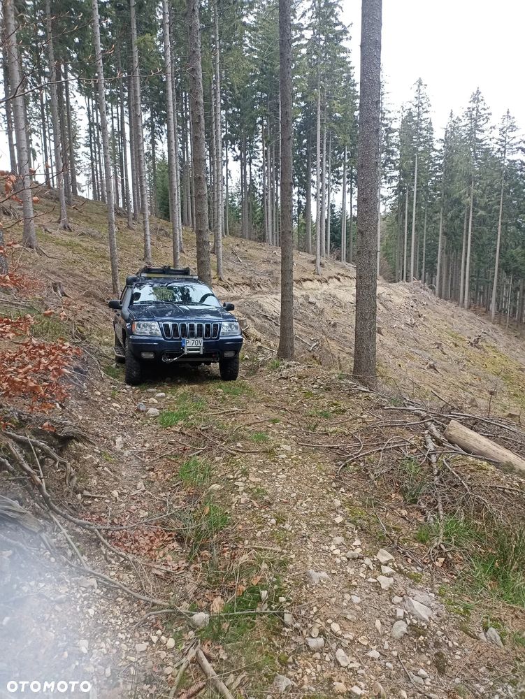 Jeep Grand Cherokee 3.1L TD Limited - 17