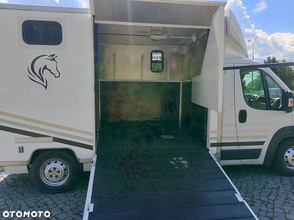 Fiat Ducato Koniowóz - 10