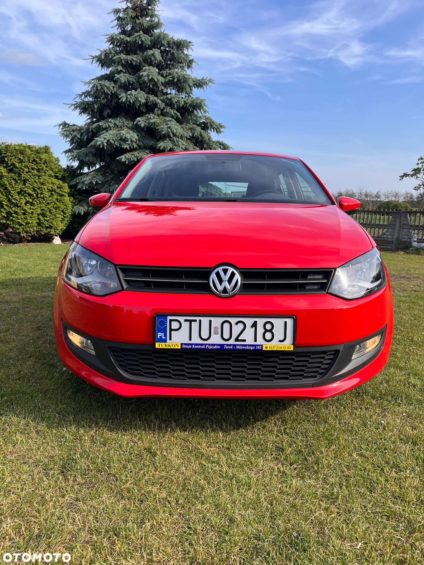 Volkswagen Polo - 2