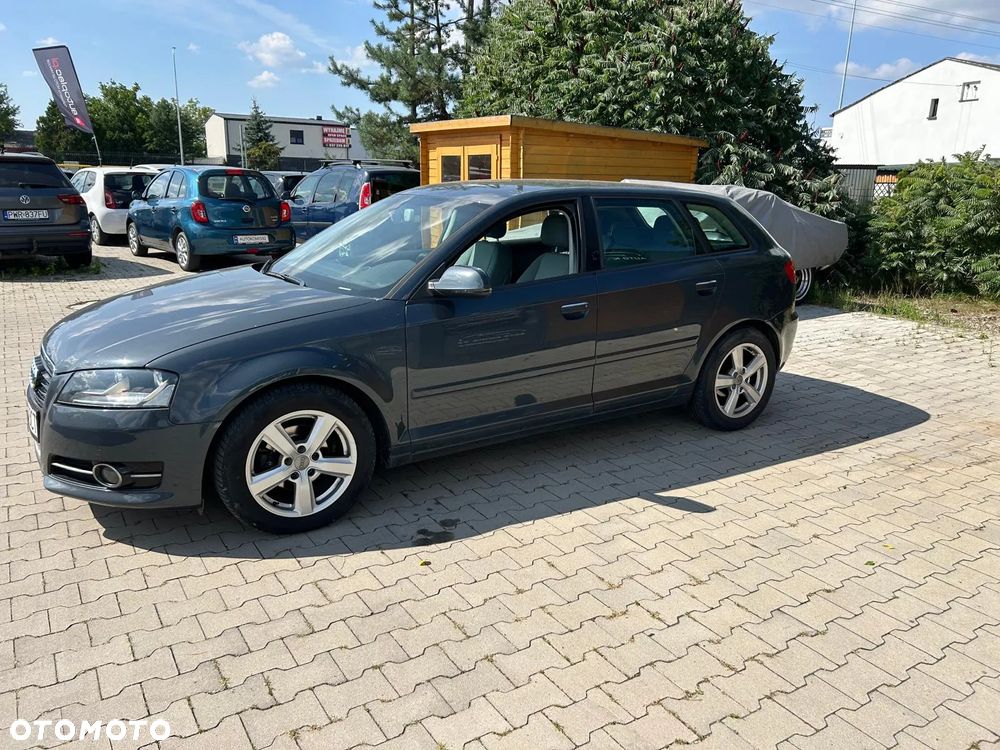 Audi A3 1.6 TDI DPF Attraction - 11