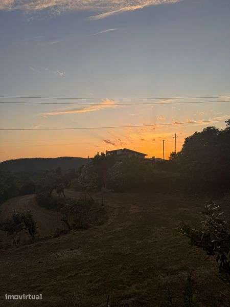Quinta T5 com 4 hectares - Grande imagem: 2/8