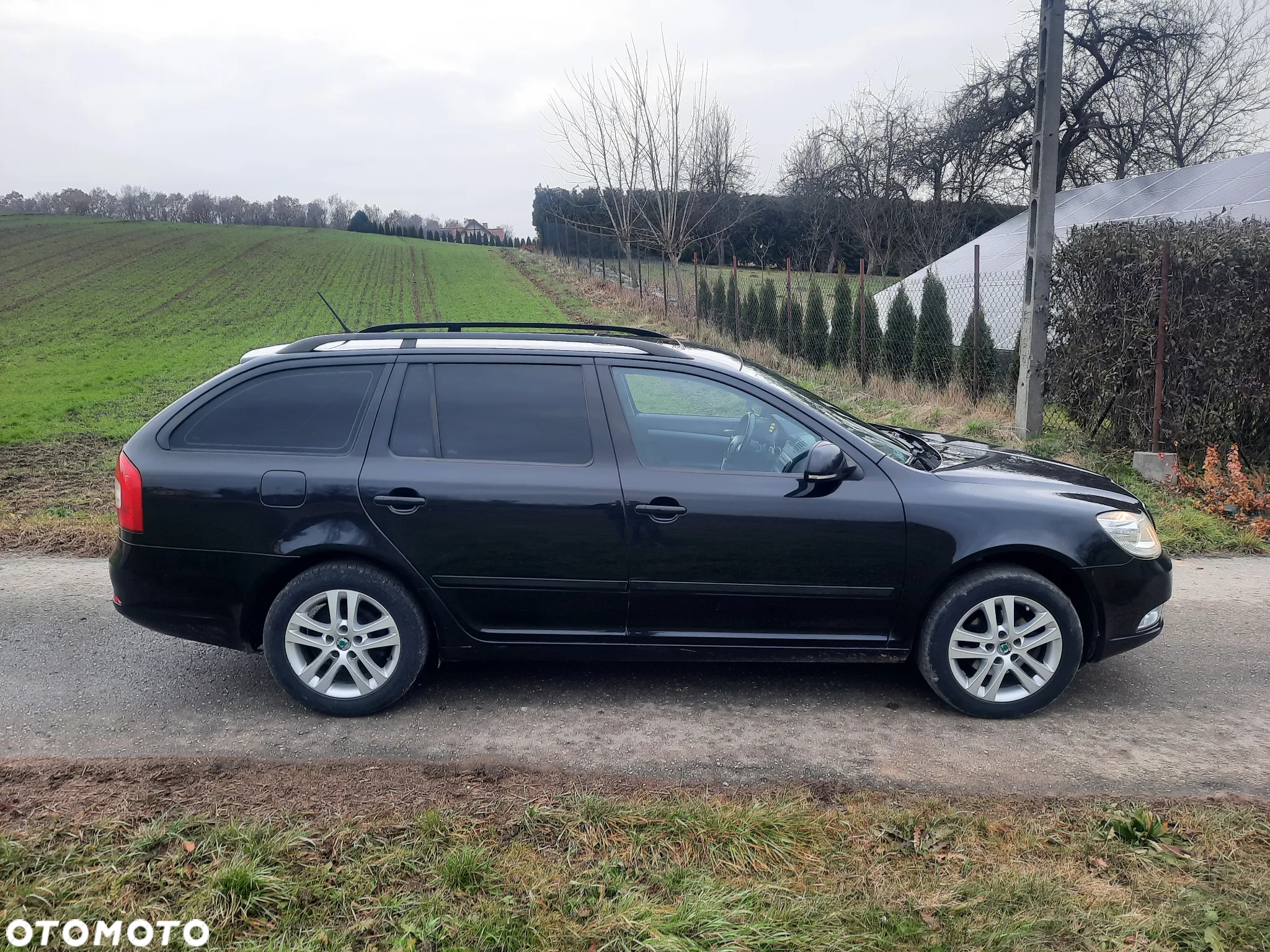 Skoda Octavia 1.6 TDI 4x4 Elegance - 3