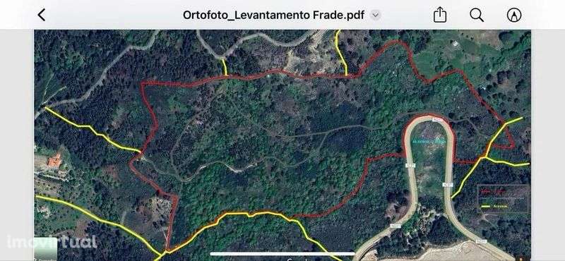 Terreno com 16 hectares para aviários, vinha ou paineis fotovoltaicos - Grande imagem: 2/11