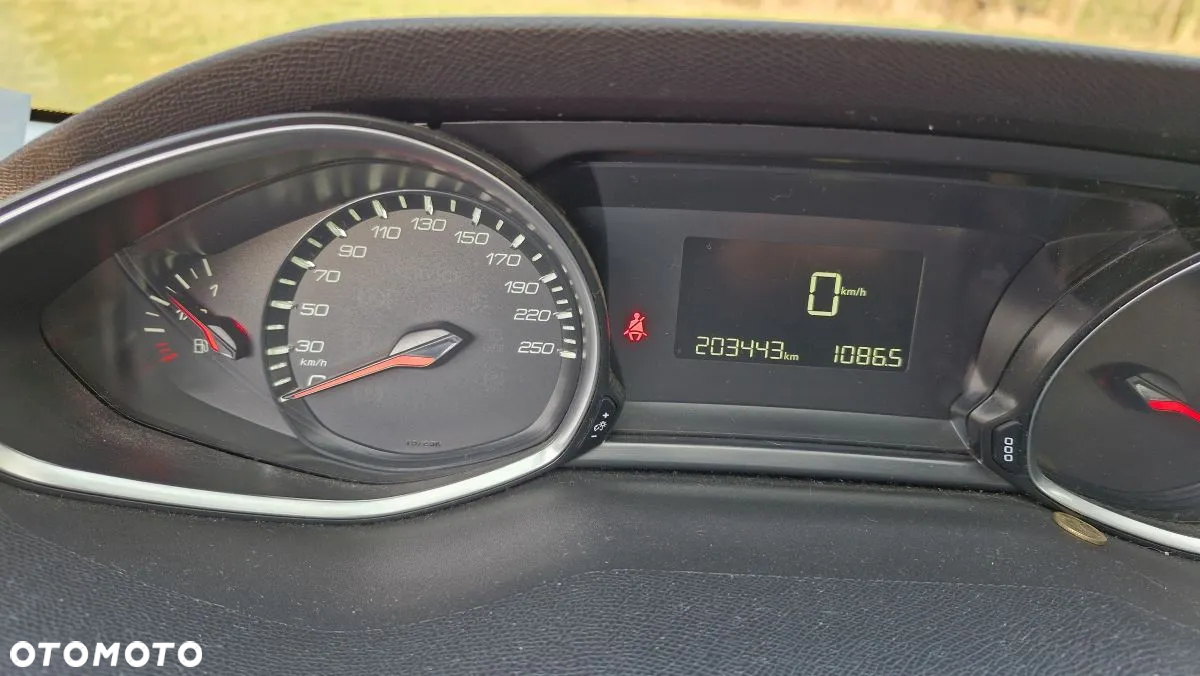 Peugeot 308 1.6 BlueHDi Active S&S - 13