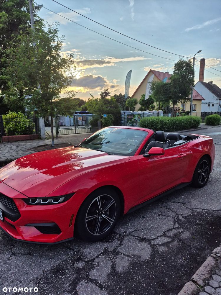 Ford Mustang 2.3 EcoBoost - 2