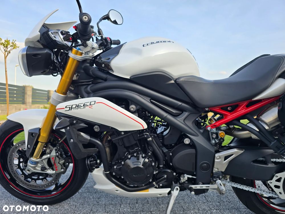Triumph Speed Triple - 15