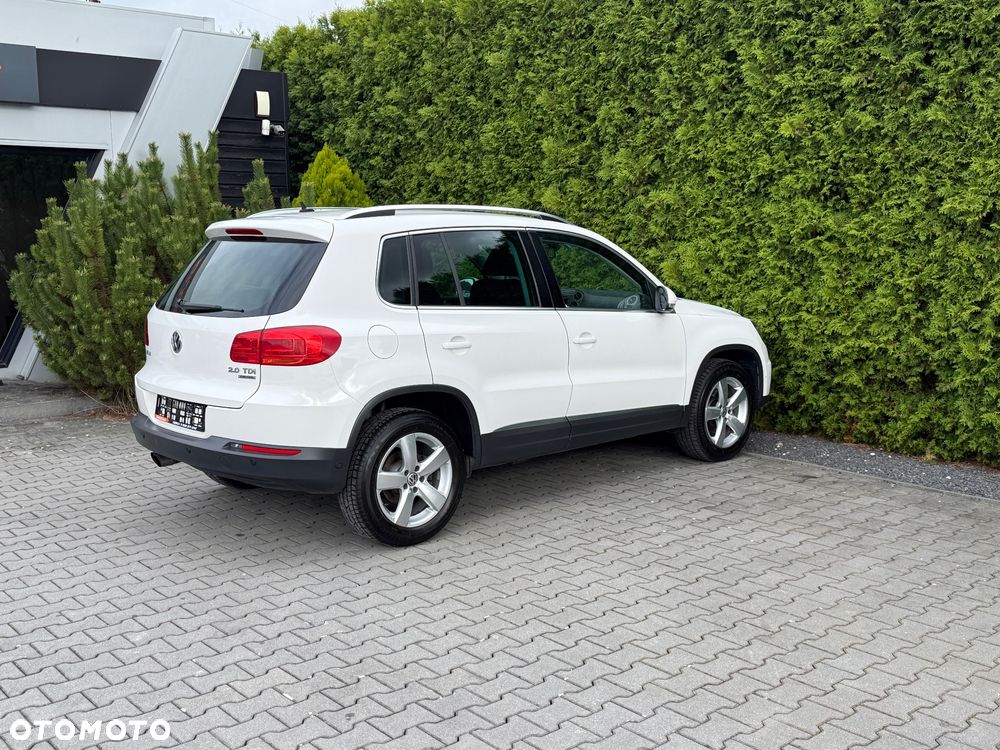 Volkswagen Tiguan - 15