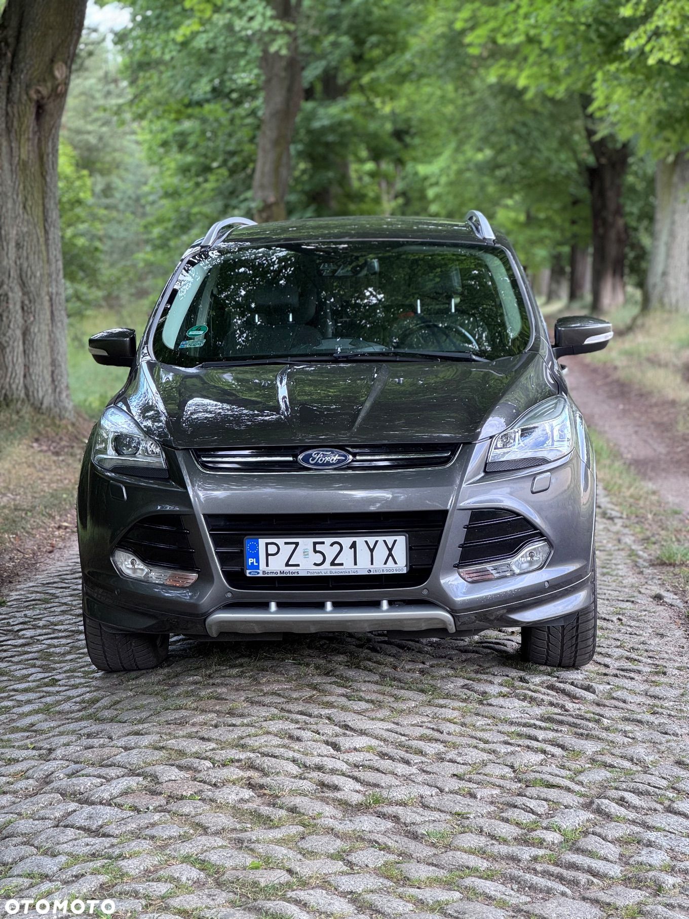 Ford Kuga 1.5 EcoBoost 4WD Titanium - 1