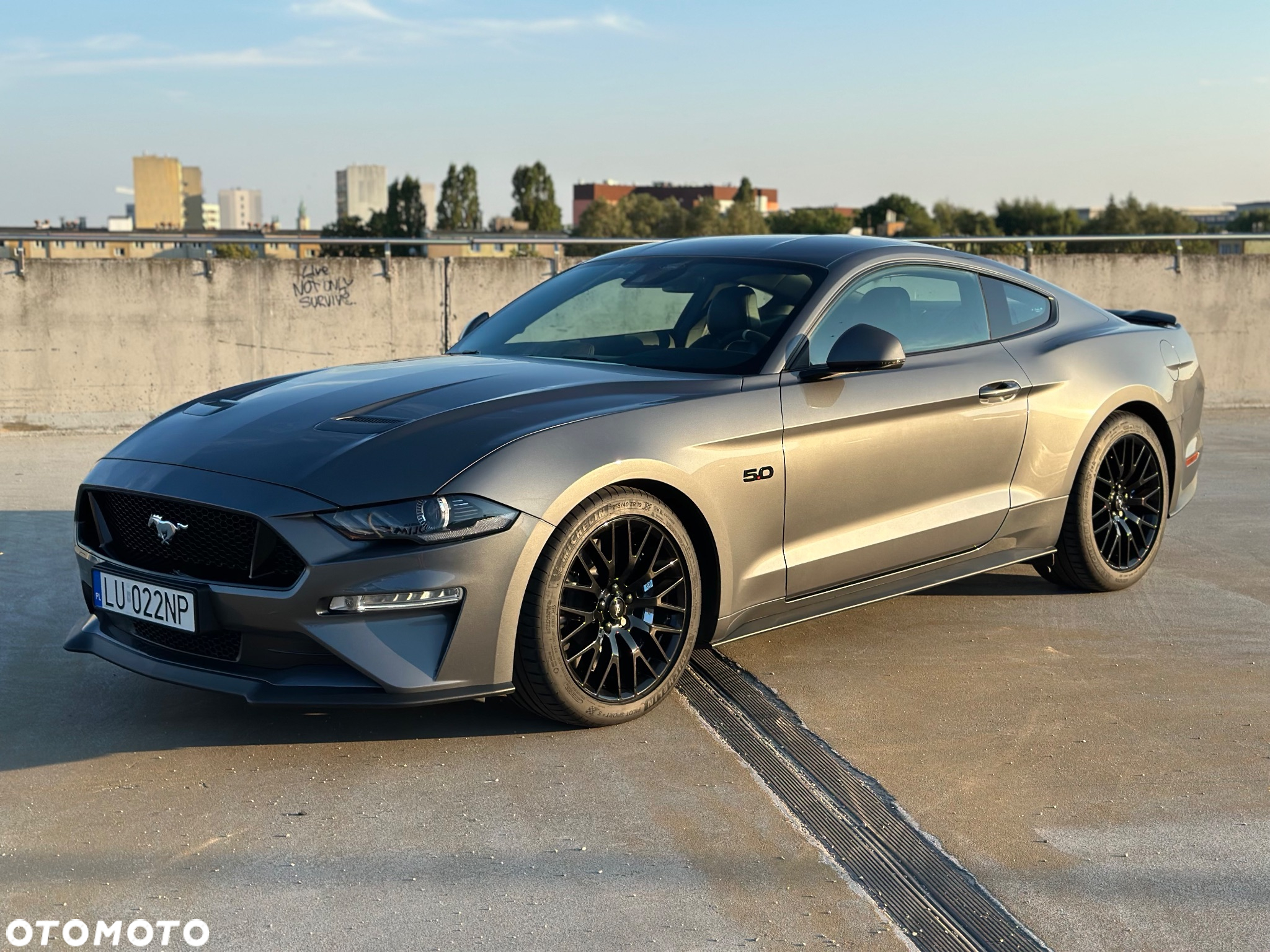 Ford Mustang 5.0 V8 GT - 7