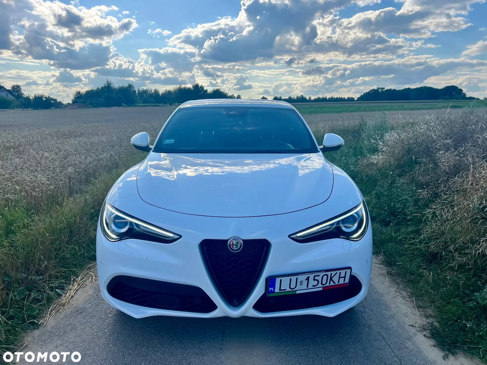 Alfa Romeo Stelvio 2.0 Turbo Veloce Q4 - 26
