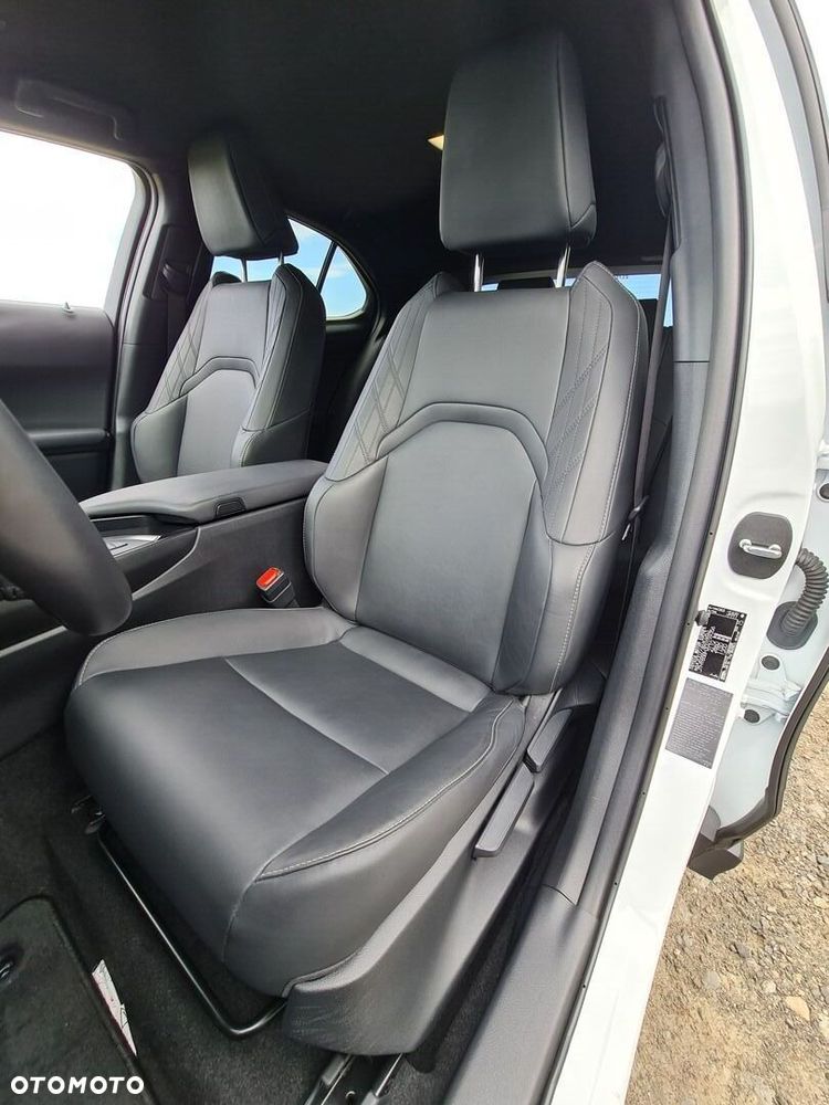 Lexus UX 250h GPF F Sport Design 2WD - 9