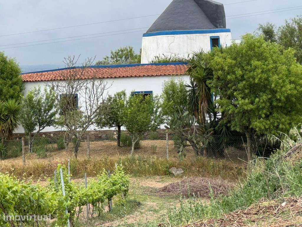 Casa com Moinho em pleno Alentejo - Grande imagem: 4/21