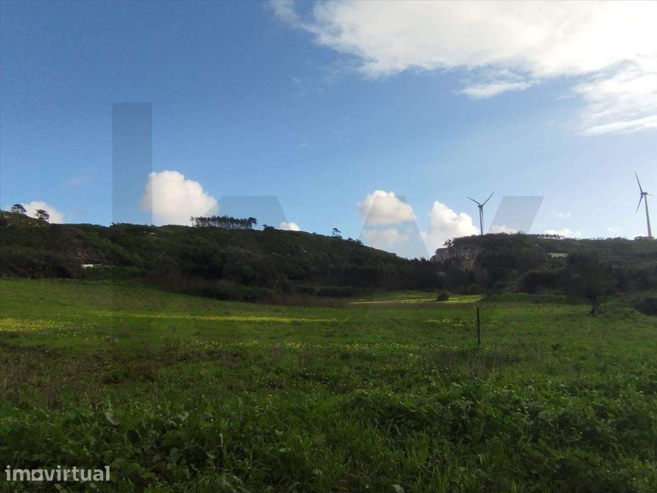 Terreno Rústico com 55680 m2 na Lourinhã - Grande imagem: 3/4