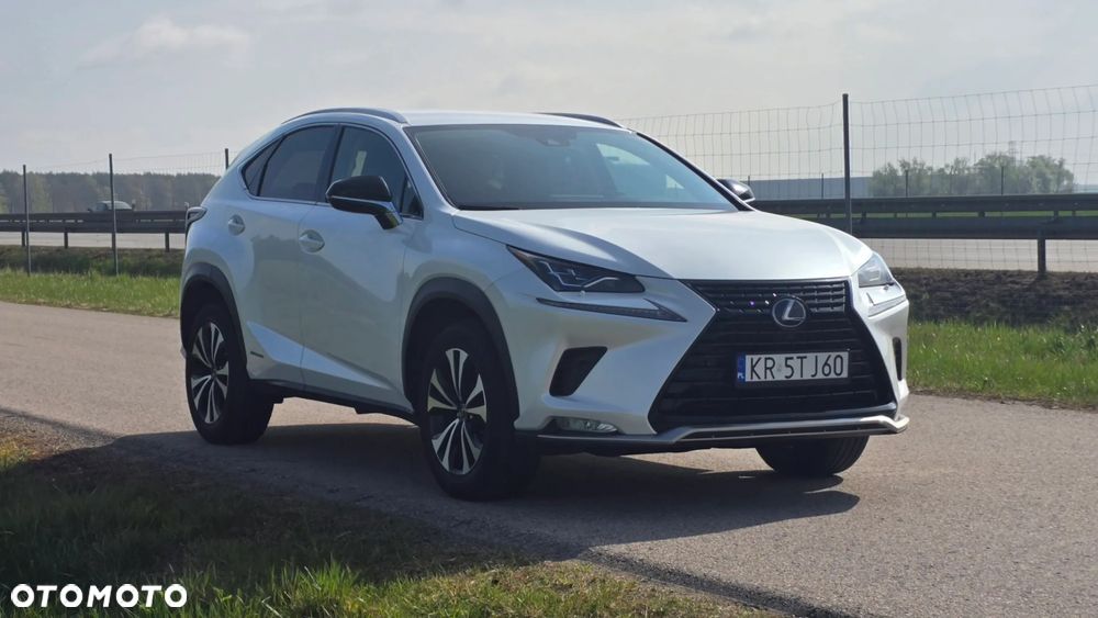 Lexus NX 300h F Impression AWD - 17