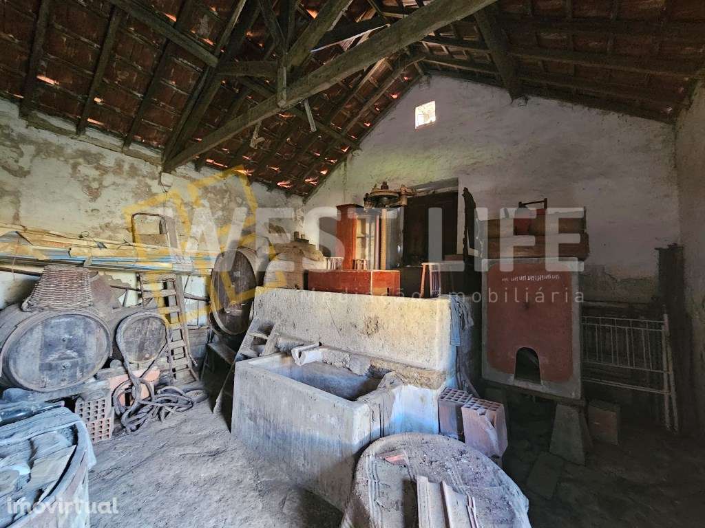 Adega de 95m2 com logradouro em Murtal - Igreja Nova - Mafra - Grande imagem: 5/24